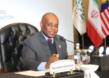 المتغيرات العالمية تحتم على الدول الأعضاء  في D-8تعزيز التنسيق لتحقيق أفضل استفادة من فرص التكامل الاقتصادي