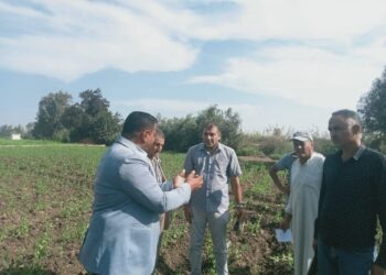 “الزراعة” تنفذ أكثر من 1800 نشاط إرشادي متنوع لخدمة أكثر من 47 ألف مزارع ومربي