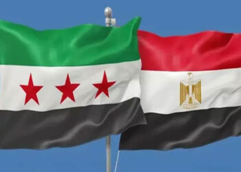 مصر تدعو إلى خفض التصعيد في سوريا وتغليب مسارات التهدئة والحوار
