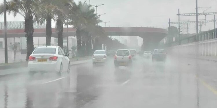 الطقس غدا.. أجواء شديدة البرودة وشبورة كثيفة