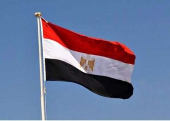 مصر ترحب باعتماد الأمم المتحدة قرارين يؤكدان الحقوق غير القابلة للتصرف للشعب الفلسطيني