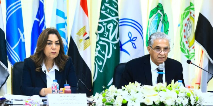 وزيرة التنمية المحلية: تنفيذ مشروعات تستهدف الفئات الأكثر احتياجاً وتحسين جودة حياة المواطنين