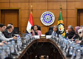 نائب وزير الصحة تتفقد منشآت صحية بمحافظة الدقهلية وتستعرض حصاد الملف السكاني بالمحافظة