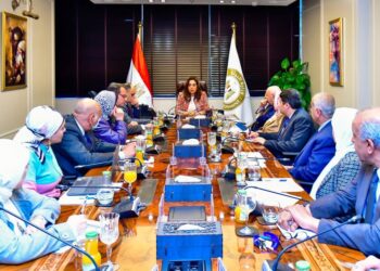 وزيرة التنمية المحلية تبحث مخرجات المشاركة المصرية في الاتفاقيات البيئية