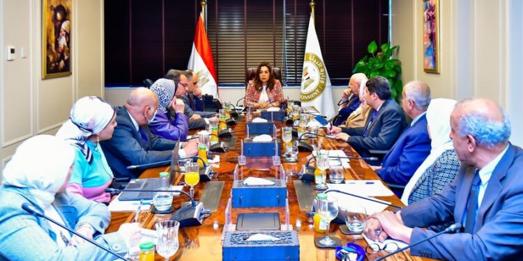 وزيرة التنمية المحلية تبحث مخرجات المشاركة المصرية في الاتفاقيات البيئية