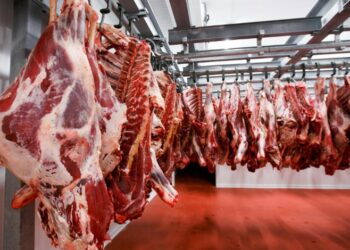أسعار اللحوم في مصر اليوم الإثنين