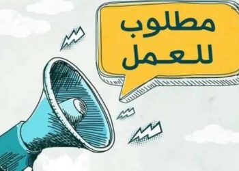 هتقبض 20 ألف جنيه.. 1900 فرصة عمل فى مجال الأمن بالجيزة