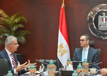 وزير الاستثمار يلتقي المؤسس والرئيس التنفيذي لشركة “باور إيديسون” الأمريكية لبحث سبل التعاون