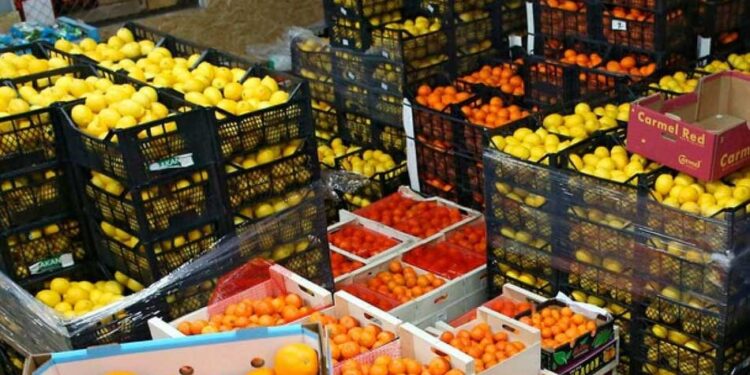 وزير الزراعة: الصادرات الزراعية المصرية تجاوزت 9.2 مليون طن خلال 2025