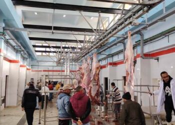 وزيرة التنمية تعلن التشغيل التجريبي لمجزر مدينة موط بالوادي الجديد بتكلفة 21 مليون جنيه