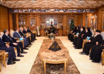 وزير الخارجية يهنئ قداسة البابا تواضروس الثاني بمناسبة عيد الميلاد المجيد