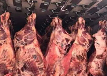 أسعار اللحوم في مصر اليوم الخميس