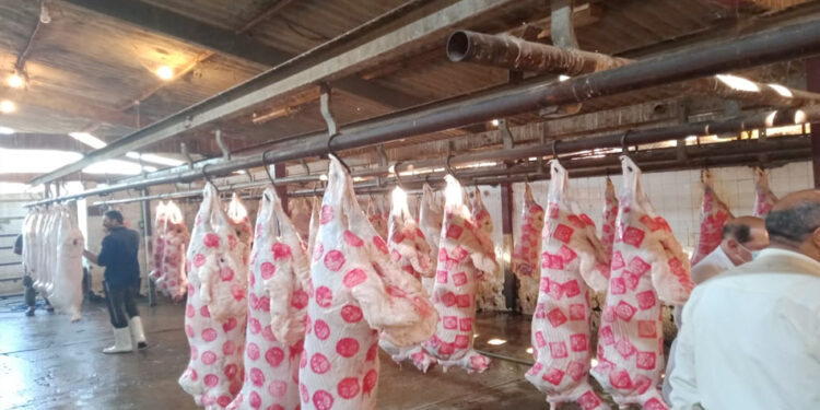 أسعار اللحوم في مصر اليوم الاربعاء