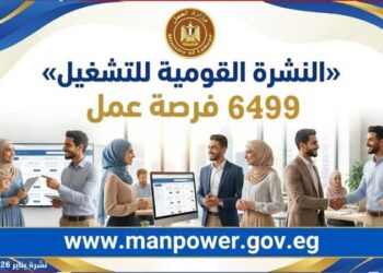 وزارة العمل: 6499 فرصة عمل جديدة فى 10 محافظات والتقديم خلال يناير وفبراير