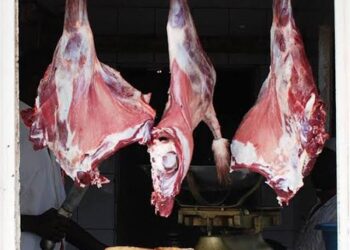 أسعار اللحوم في مصر اليوم الأحد