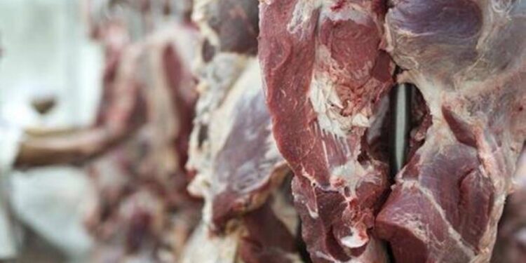 أسعار اللحوم في مصر اليوم السبت