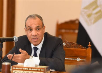 وزير الخارجية يؤكد على الدور المحورى للقطاع الخاص في تعزيز الشراكات الاقتصادية مع أفريقيا