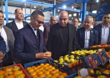 وزير الاستثمار يتفقد عددًا من المصانع بالمنطقة الاستثمارية بمدينة بنها