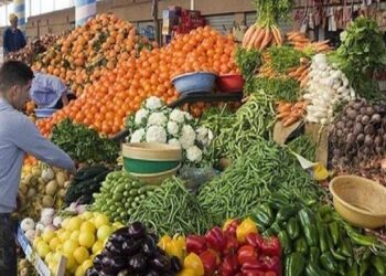 أسعار الخضروات والفاكهة في مصر اليوم الخميس