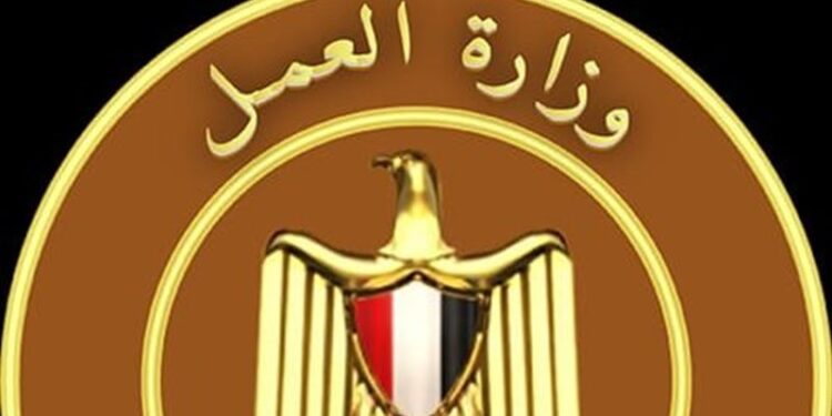 التفتيش على 1695 منشأة يعمل بها أكثر من 30 ألف عامل