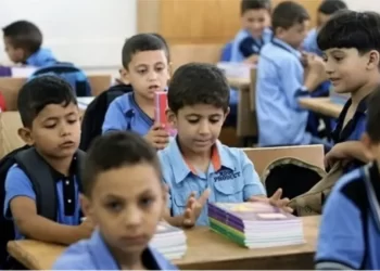 نتيجة الصف السادس الابتدائي برقم الجلوس والاسم 2026