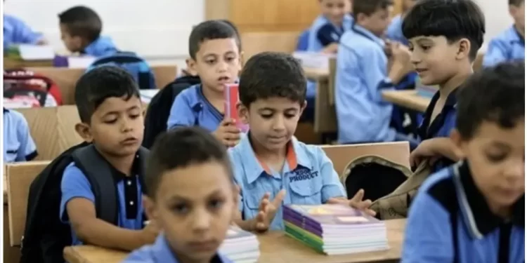 نتيجة الصف السادس الابتدائي برقم الجلوس والاسم 2026