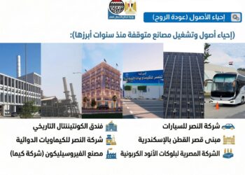 بالإنفوجراف | قطاع الأعمال العام يحقق قفزة تاريخية في الأداء المالي والتشغيلي خلال 2024–2025