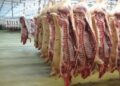 أسعار اللحوم في مصر اليوم السبت