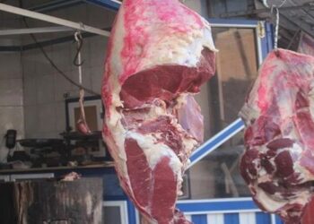 أسعار اللحوم في مصر اليوم الأحد