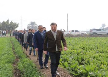 وزير الزراعة ومحافظ الفيوم يتفقدان زراعات القمح بمركز إطسا ومجمع الخدمات الزراعية بقرية “أبو صير”