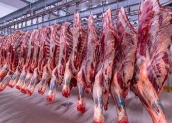 أسعار اللحوم في مصر اليوم الإثنين