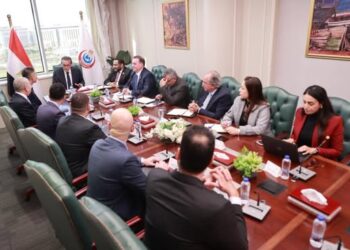 وزير الصناعة يبحث مع شركة إيليت سولار لتكنولوجيا الطاقة الشمسية خطط الشركة للتوسع في مصر
