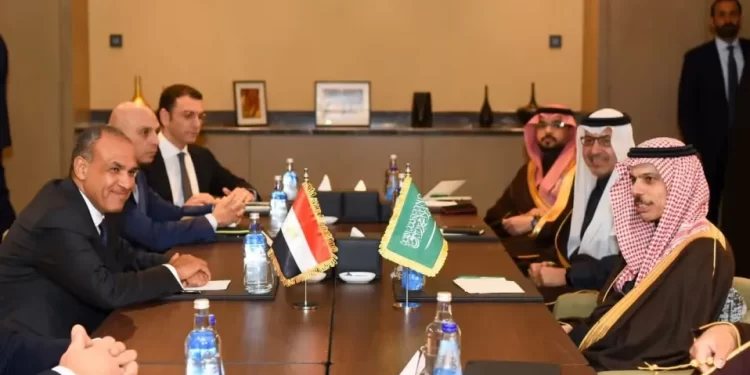وزير الخارجية يعقد مباحثات ثنائية مع نظيره السعودي