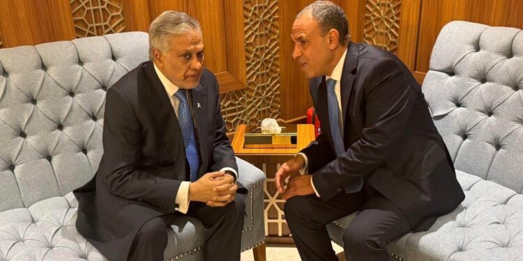 وزير الخارجية يلتقى نظيره الباكستاني ويبحثان تعزيز العلاقات الثنائية والتطورات الإقليمية