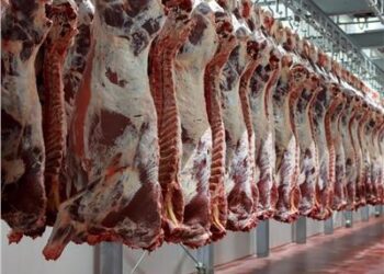 أسعار اللحوم في مصر اليوم الجمعة