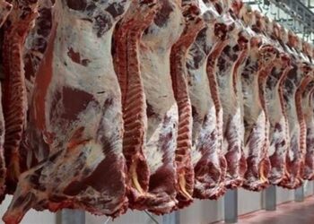 أسعار اللحوم في مصر اليوم السبت