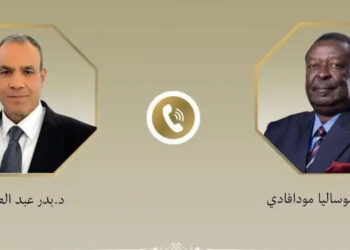 اتصال هاتفي بين وزير الخارجية ونظيره الكيني