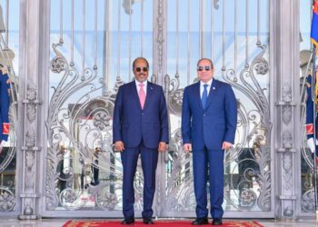 الرئيس السيسي يستقبل رئيس جمهورية الصومال اليوم