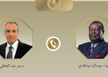 اتصال هاتفي بين وزير الخارجية ونظيره الكيني
