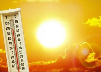 الأرصاد تكشف تفاصيل طقس الأحد.. أجواء شديدة الحرارة ورطوبة مرتفعة على أغلب المحافظات