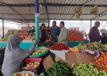 سعر الخضار والفاكهة اليوم الإثنين في الأسواق