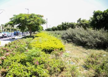 وزيرة الإسكان تتابع أعمال تطوير الطرق ومداخل مدينة بدر
