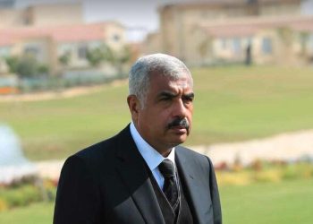 هشام طلعت مصطفى: لا توجد فقاعة عقارية في مصر.. والطلب الحقيقي يصل إلى مليون وحدة سنويًا