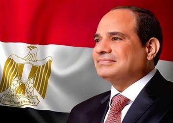 الرئيس السيسى يهنئ رؤساء ملاوى وجنوب السودان وساو تومى وبرينسيب الديمقراطية بذكرى الاستقلال