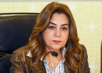وزيرة التنمية المحلية والبيئة تطلع على نتائج مراجعة الأداء في 4 أحياء بالقاهرة