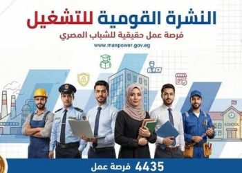 فرص للشباب.. وزارة العمل تطرح 1275 وظيفة جديدة بالقطاع الخاص خلال أغسطس