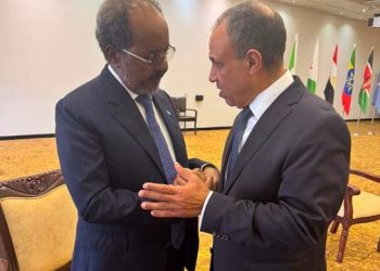 شكري يلتقي الرئيس الصومالي على هامش قمة دعم بعثة الاتحاد الأفريقي