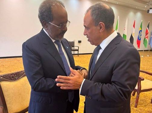 شكري يلتقي الرئيس الصومالي على هامش قمة دعم بعثة الاتحاد الأفريقي