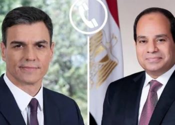 الرئيس السيسى: الجهات المعنية تباشر التحقيقات للوقوف على ملابسات حادث دمياط