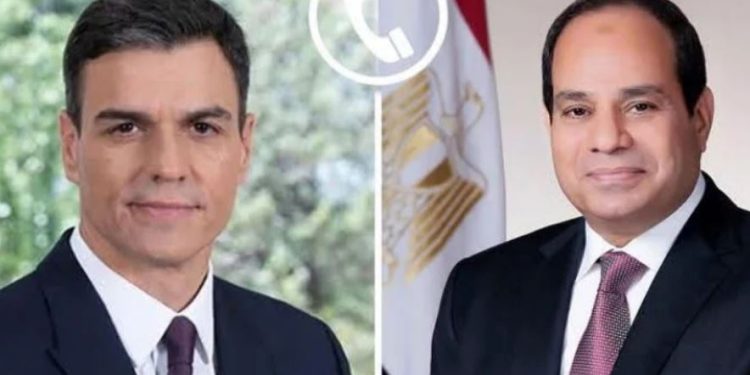 الرئيس السيسى: الجهات المعنية تباشر التحقيقات للوقوف على ملابسات حادث دمياط